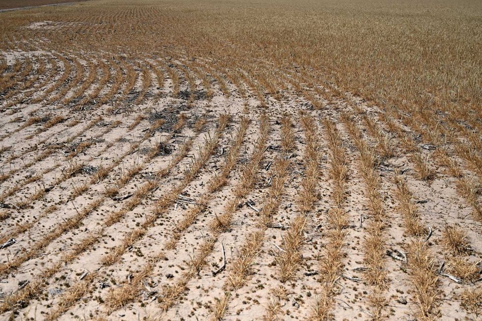 GOP's 'unconscionable' omission in new farm bill has hunger experts furious