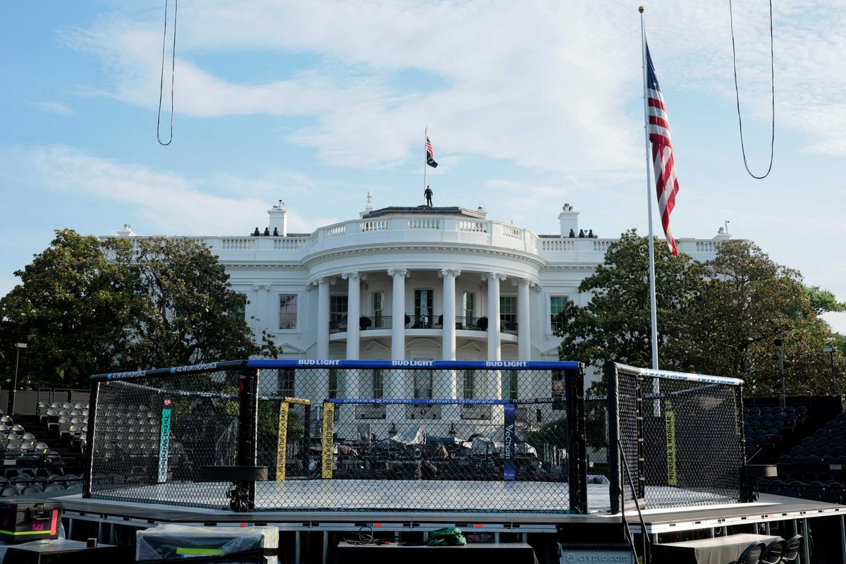 Capitol Hill's lone MMA fighter delivers Trump a bruising snub