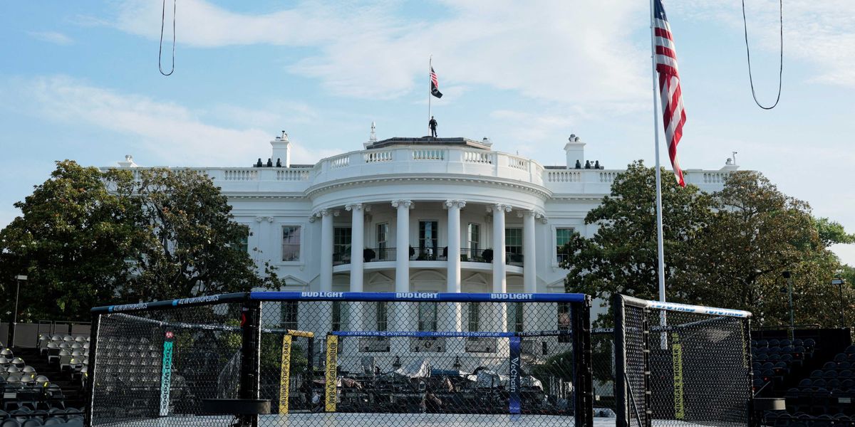 Capitol Hill's lone MMA fighter delivers Trump a bruising snub