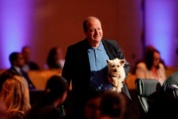 'Heckuva job!' Disbelief as Dem lavished with thanks from MAGA election denier he freed