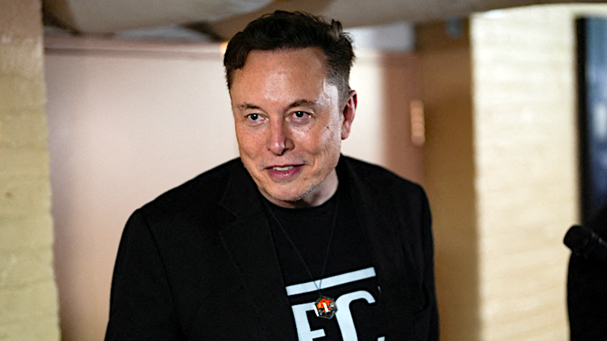 'Genius' Musk 'so removed from reality' he doesn't see big win he's given Dems: analyst