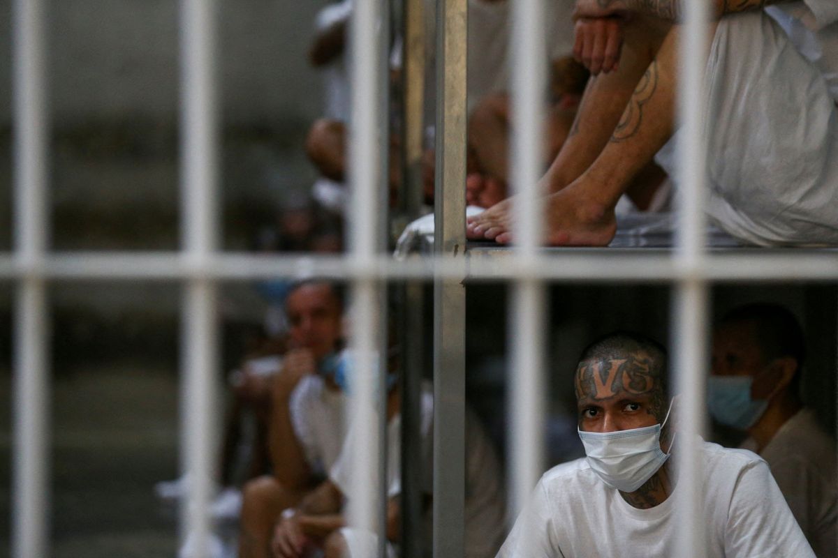 Expert shreds Matt Gaetz's 'lie' over notorious prison: 'They were shouting kidnapped!'