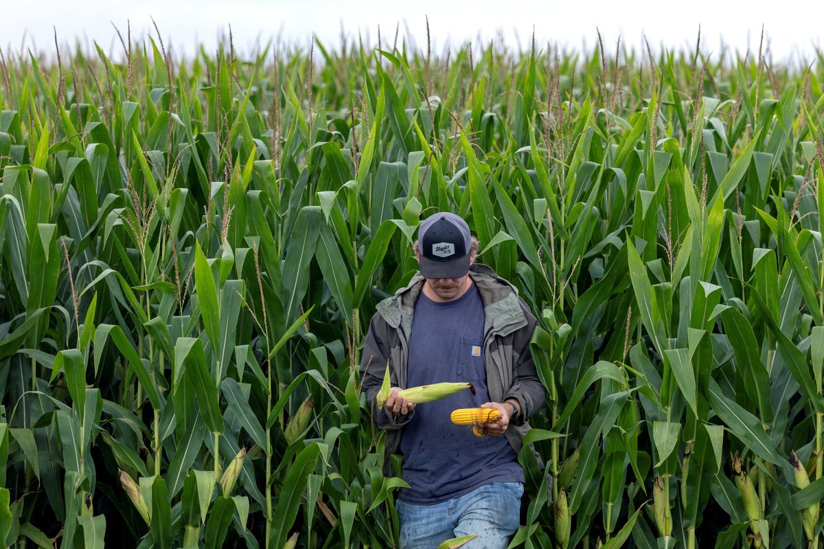 House Republican shrugs off farm bankruptcies in his own state: No 'free pass'