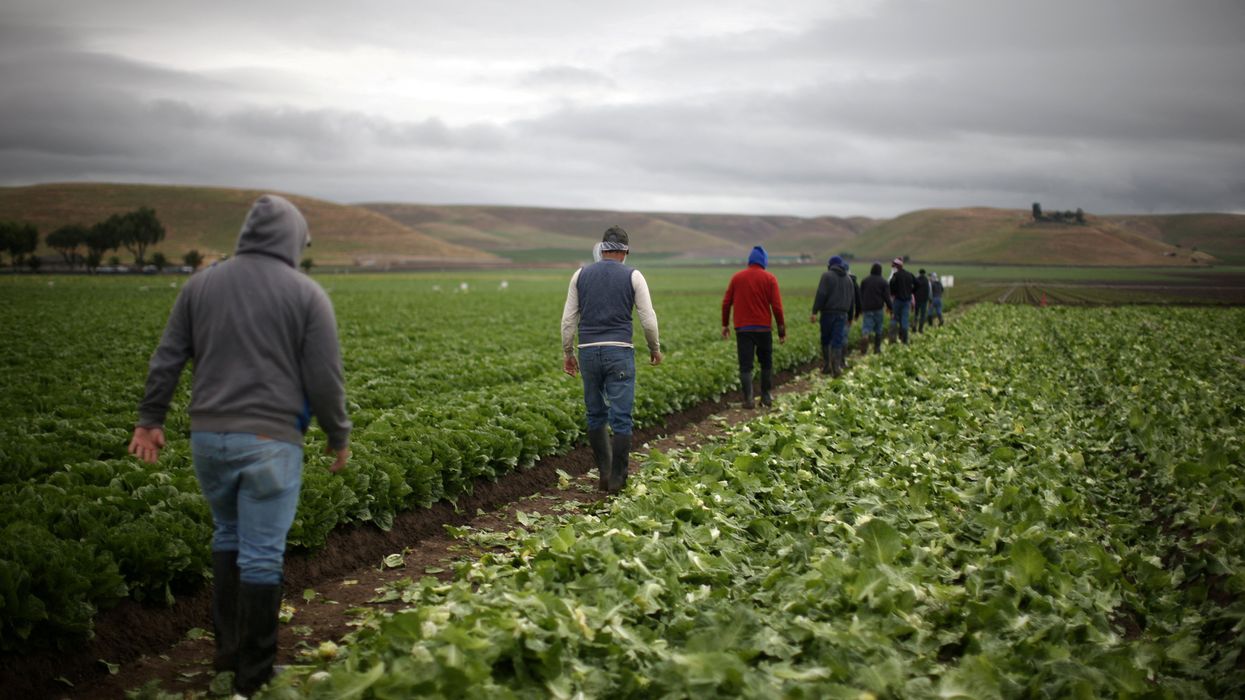 Skepticism grows after MAGA-linked farm cleared in parasite outbreak