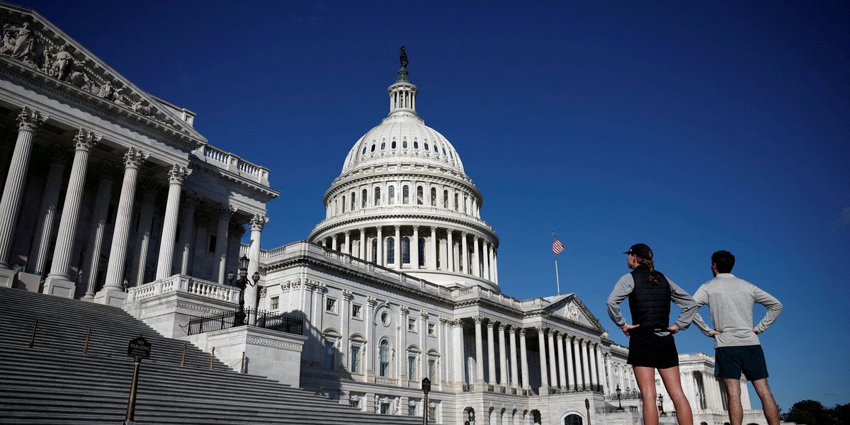 BREAKING: Person with 'gun' arrested at US Capitol - Raw Story