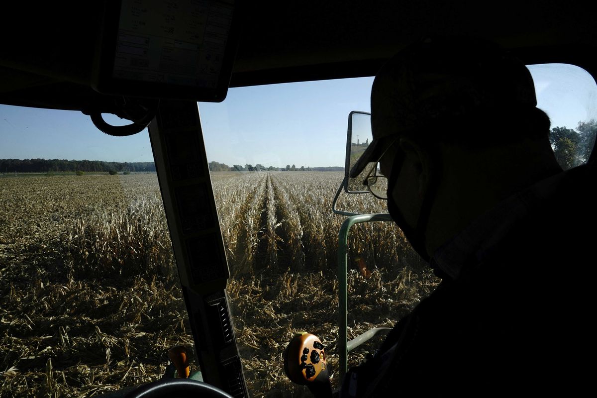 'Rude awakening': farmers say Trump's 'drastic' DEI policy hits them where it hurts