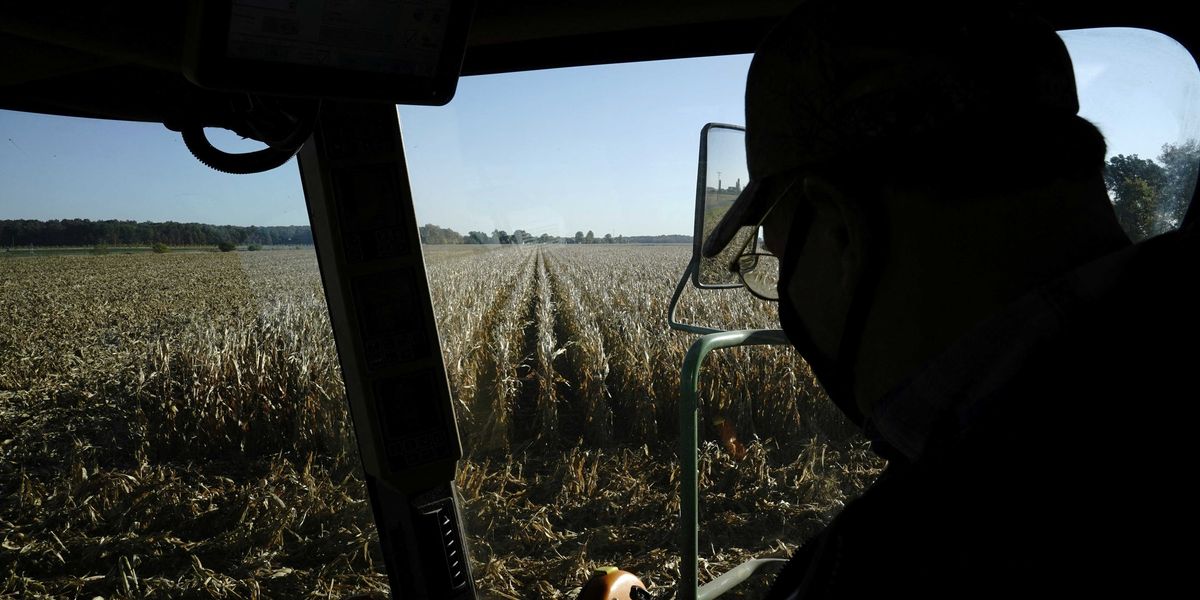 Panicked farmers engulfed in 'crisis' as they stare down years of pain due to Trump