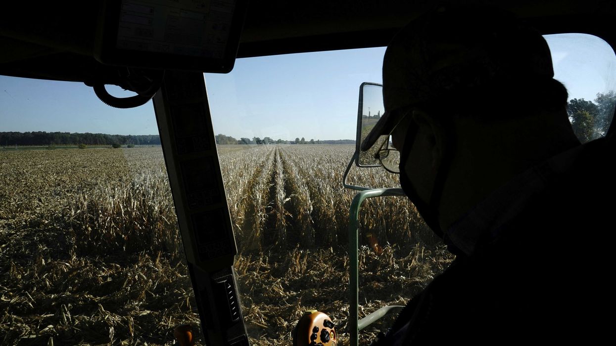 'Rude awakening': farmers say Trump's 'drastic' DEI policy hits them where it hurts