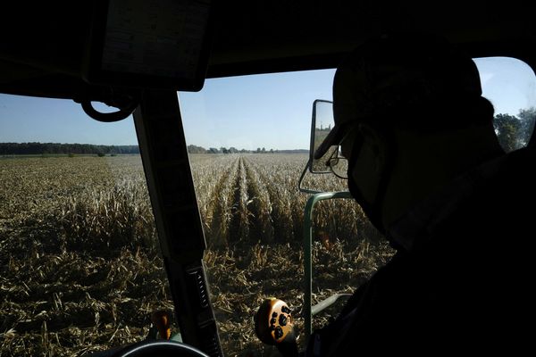'Rude awakening': farmers say Trump's 'drastic' DEI policy hits them where it hurts