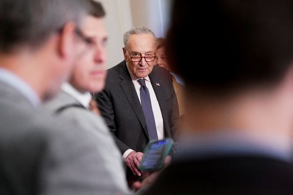 'Angry base is motivated base': Analyst says 'livid' Dems may have gotten kick they needed