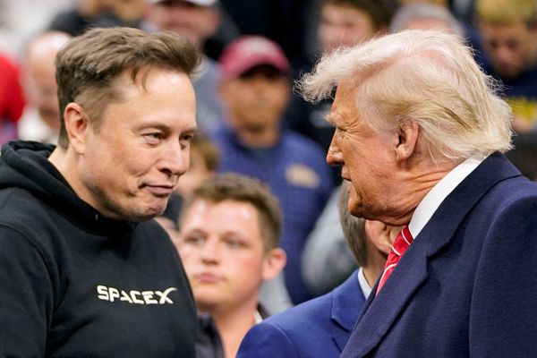 'Too hard for him': Analyst claims Musk 'caved' before DOGE could make progress