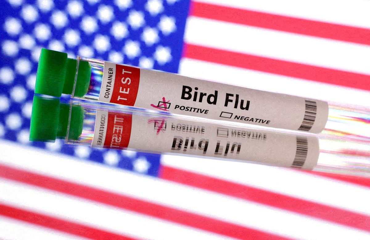 'Stupid beyond belief': Trump shredded for mistakenly firing bird flu experts