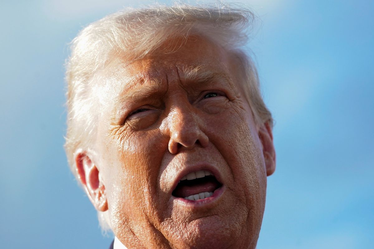 Revealed: Trump official's 'original sin' that left her 'vulnerable' to ouster