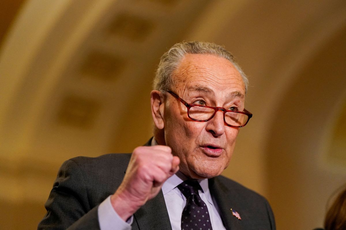 'Evil sorcerer’ who never left:  Authors reveal Schumer’s failed bet on post-Trump America