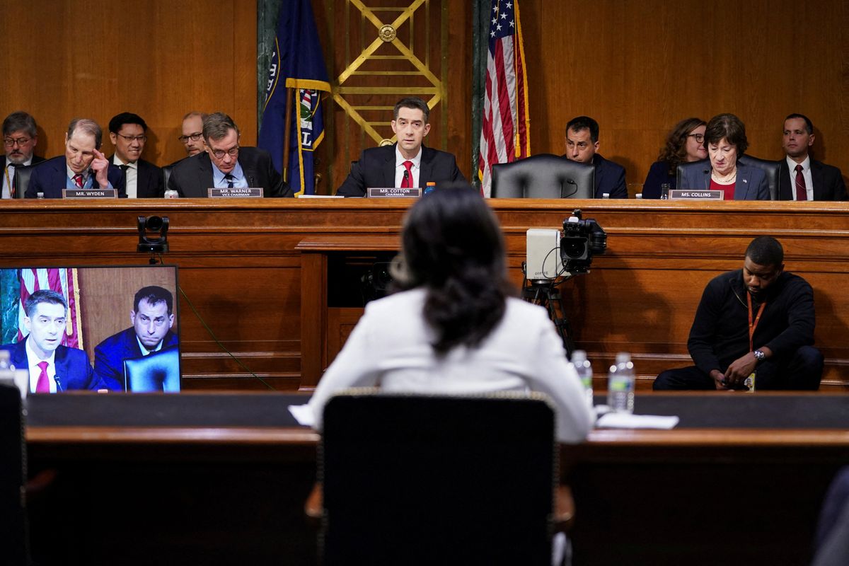 'Rolled over': Analyst slams Republican senators who 'abandoned' their duty