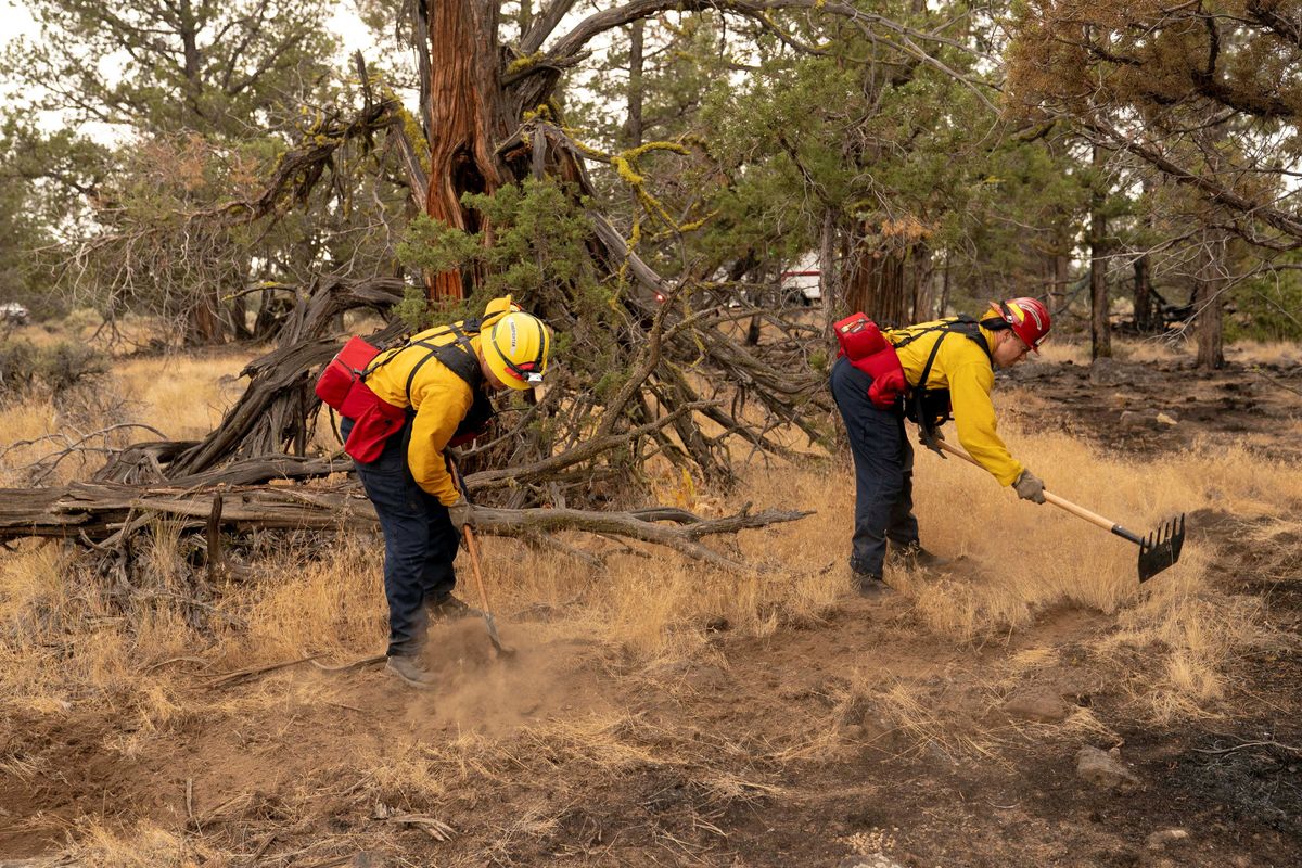 'Sick': Answers demanded as ICE arrests firefighters battling blazes