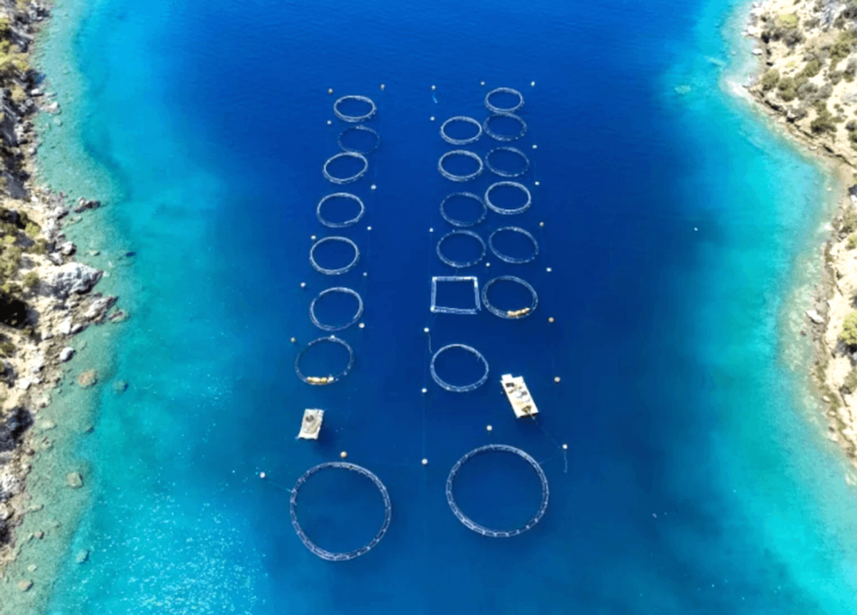 Greek islanders dismayed by plan to scale up fish farming