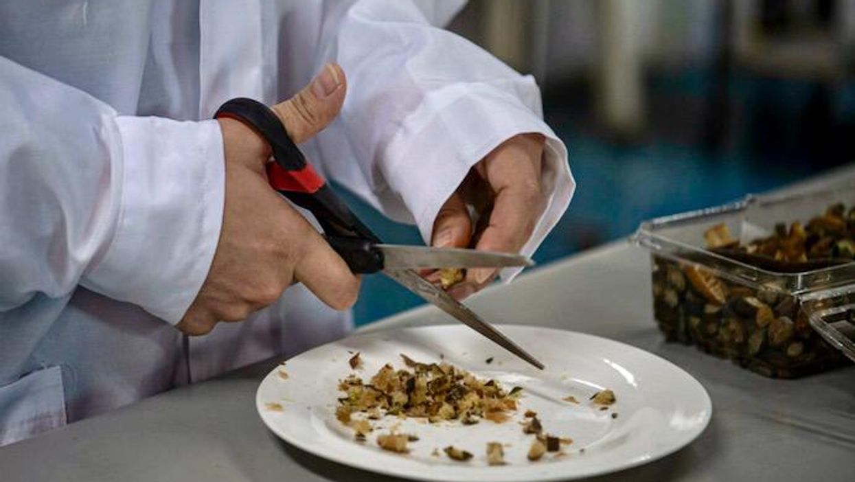 Seaweed and 3D printers: Chile's innovative approach to feeding kids