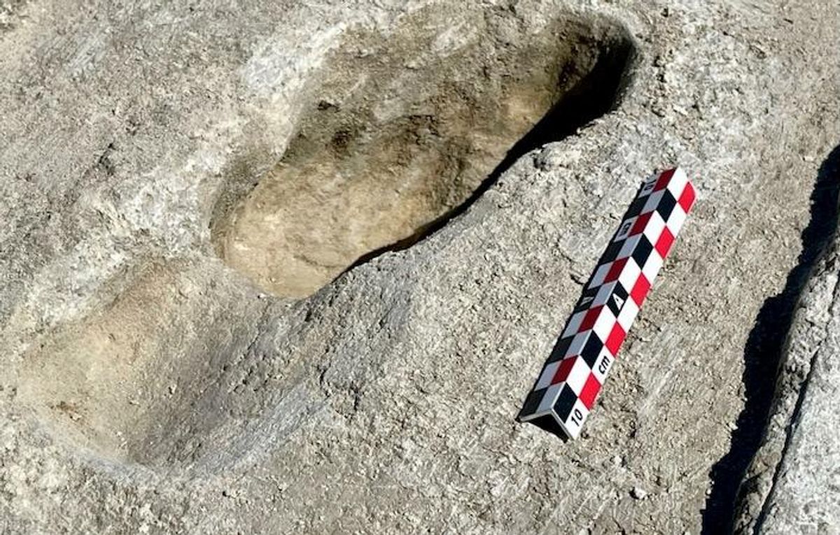 Ice-age footprints shed light on North America's early humans