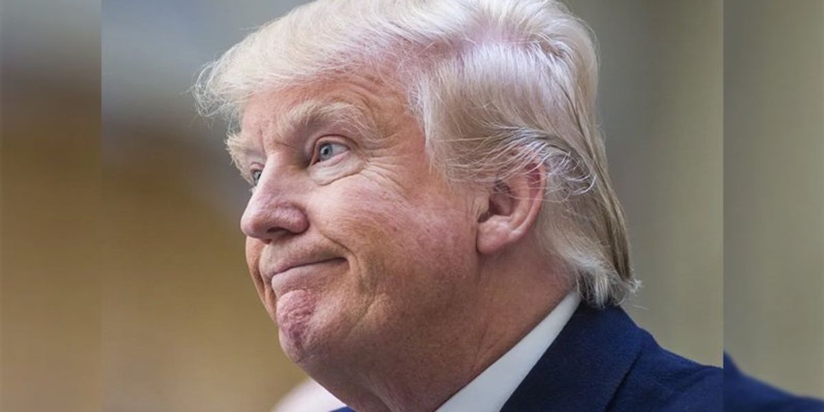 Trump's net worth sinks $1 billion as Truth Social shares go into free fall: reports