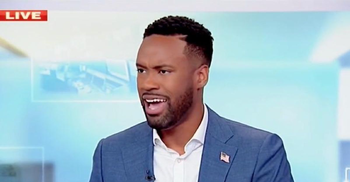 ‘Invokes fear in the public’: Fox News contributor claims suspect who burned Christmas tree was ‘targeting the country’