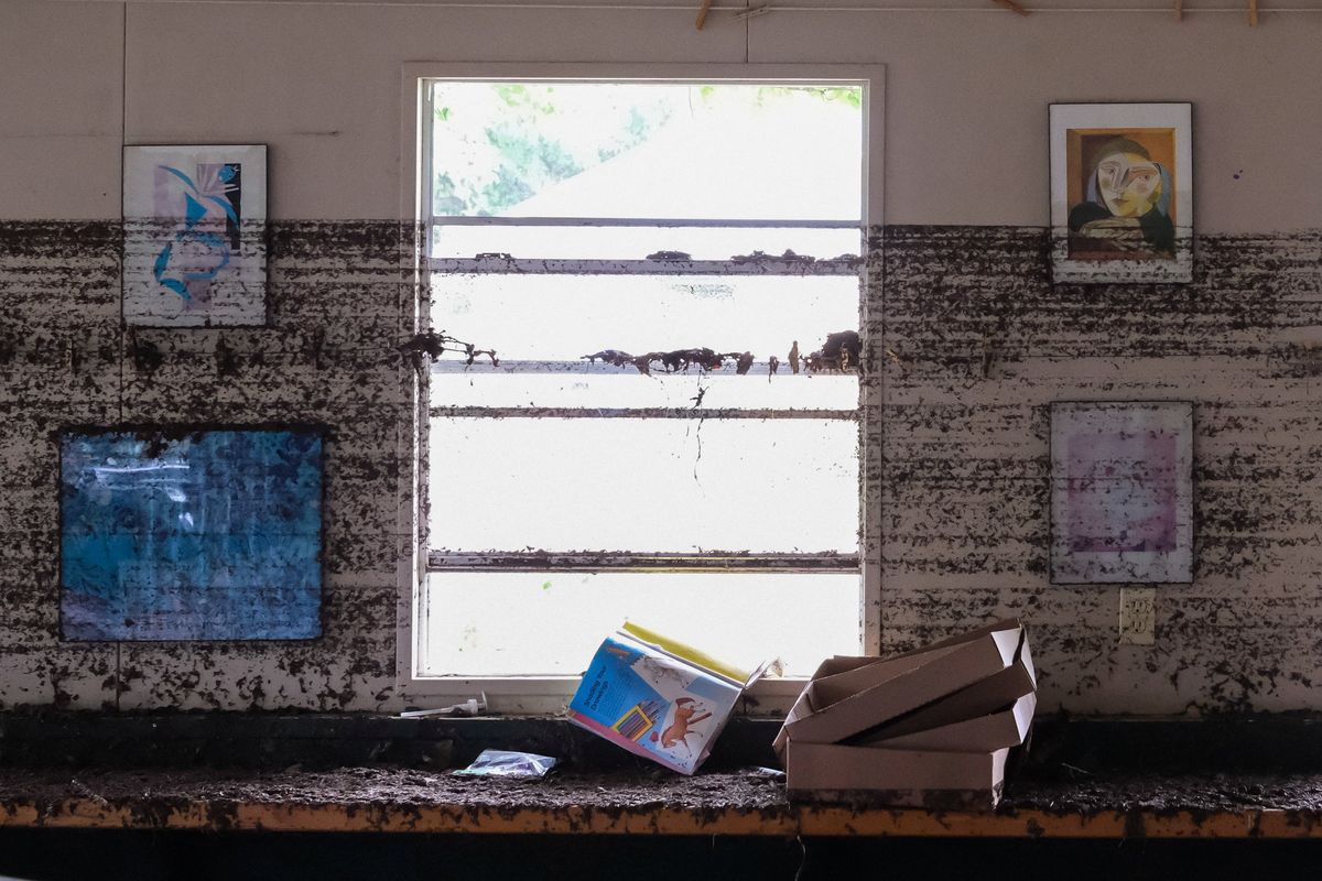 ‘Not a failure of science’: Expert assigns clear blame for Texas disaster