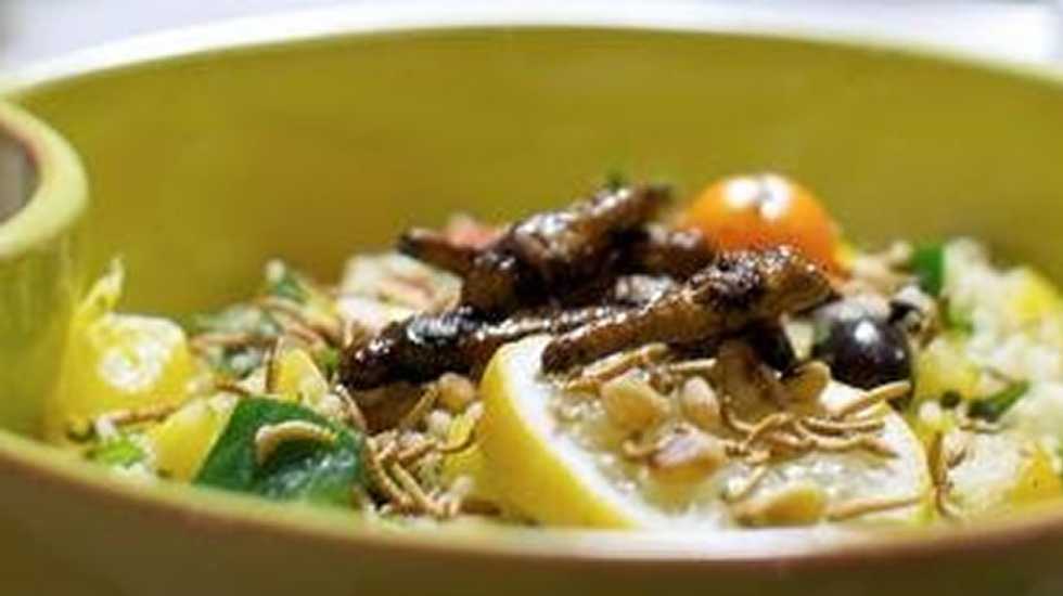 New cookbook seeks to turn tide on insect cuisine