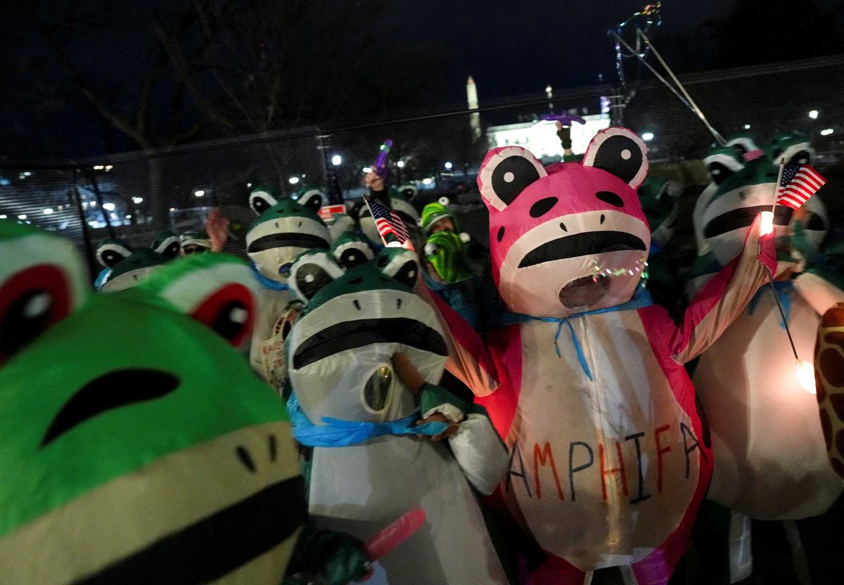 Frogs at the White House