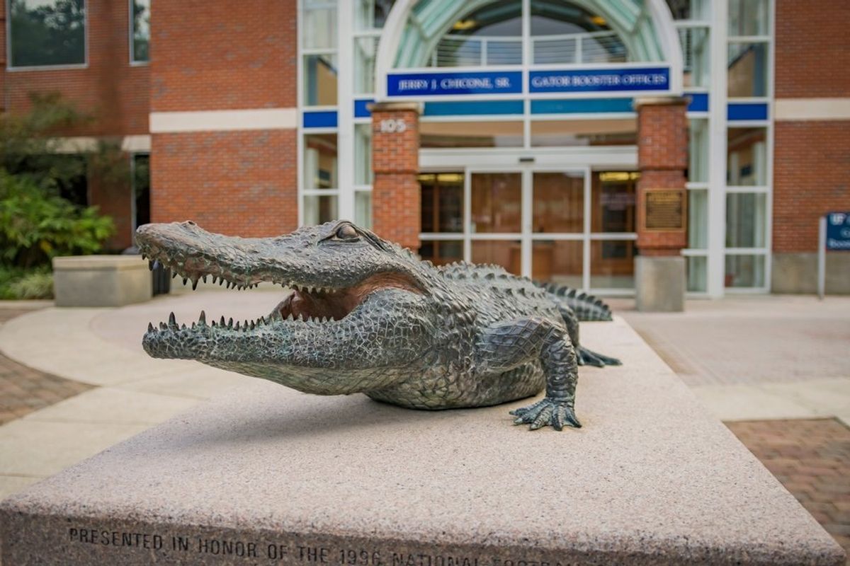'Under no circumstances!' MAGA erupts over major university's 'lunatic' new head