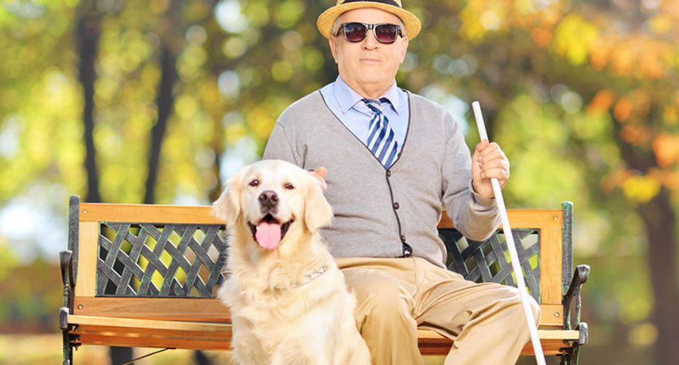 Gene therapy helps combat some forms of blindness – and ongoing clinical trials are looking to extend these treatments to other diseases