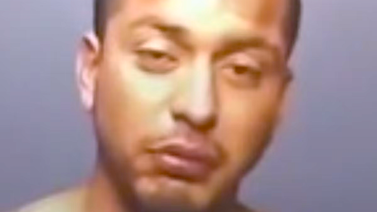 Man who ran down migrants at bus stop has lengthy criminal record