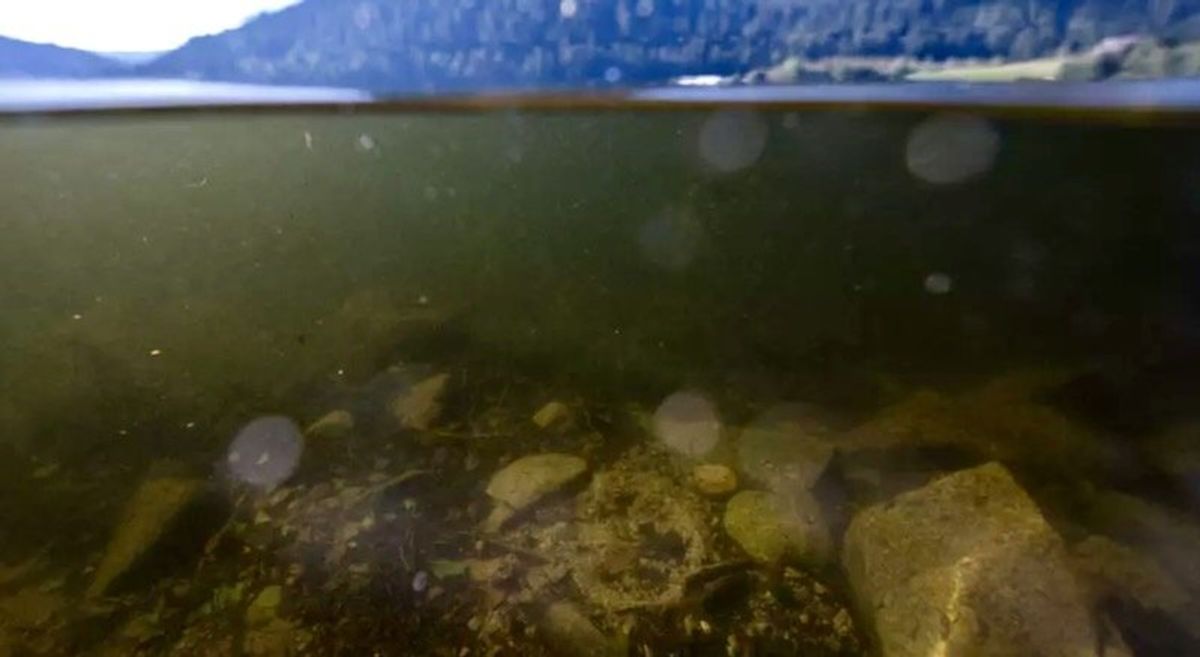 French lake still riddled with bombs 80 years after World War II