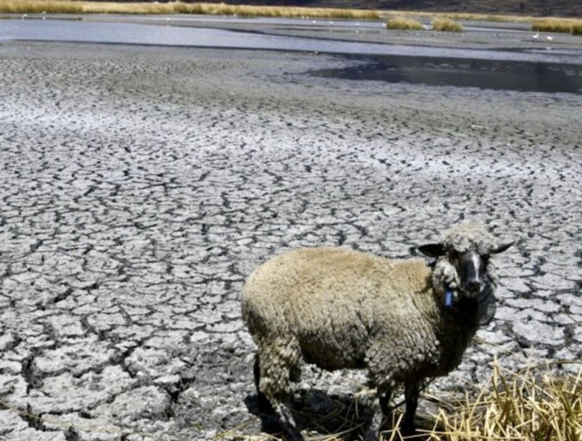 Climate change main culprit for hot South American winter