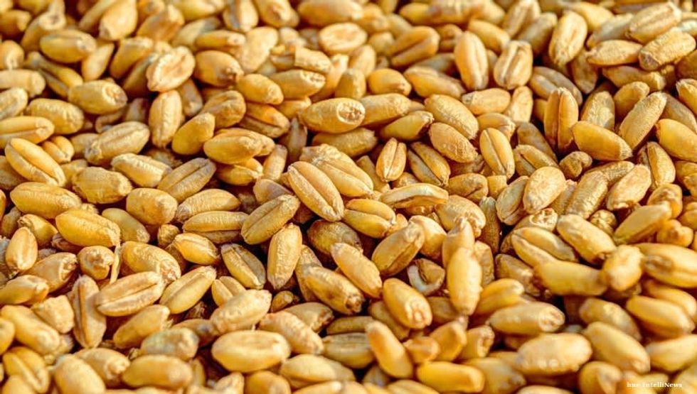 Russia pulls out of Black Sea Grain Initiative