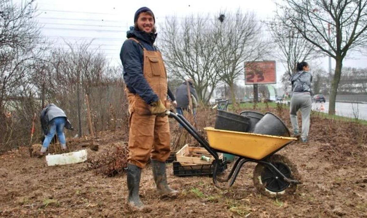 Volunteers plant mini-forests in Paris to slow climate change, tackle heatwaves