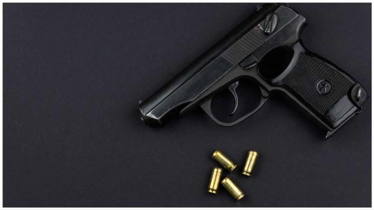 Hitler-quoting former school board member arrested for brandishing gun at her tenant