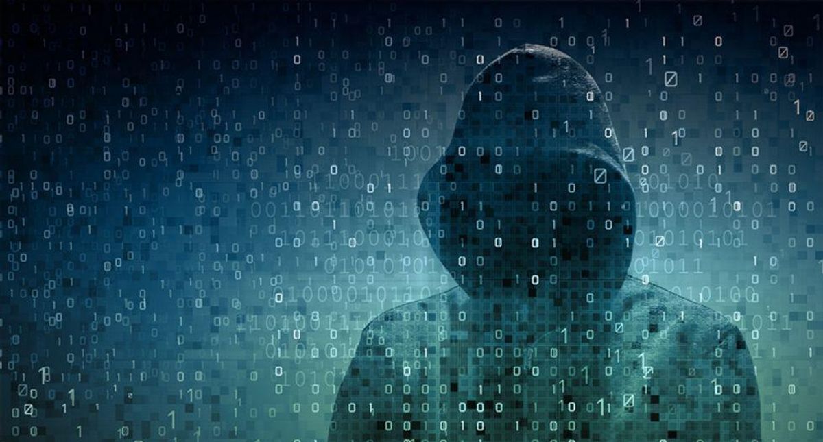 Key battleground state's election website targeted by cyberattack: report