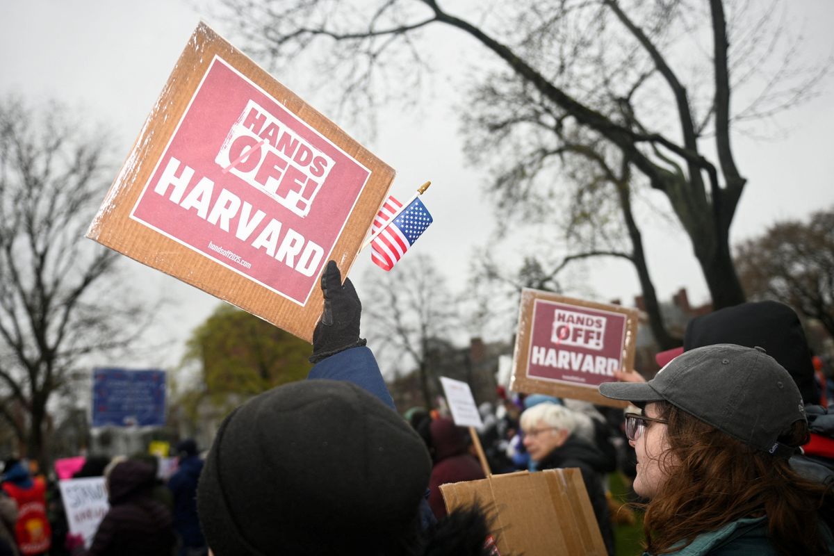 Harvard protest