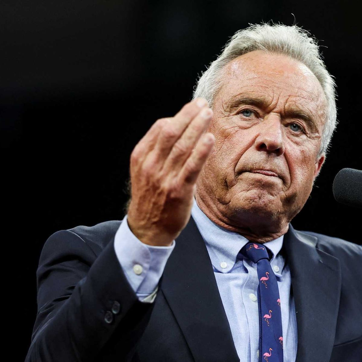 RFK Jr.'s 'nakedly racist' remarks immediately backfire at campaign stop: 'Hysterical'