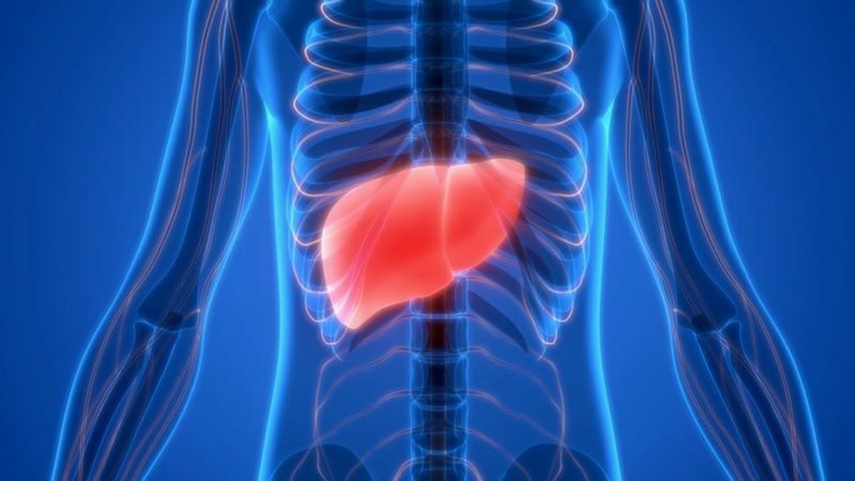 Diabetes and obesity can damage the liver to the point of failure