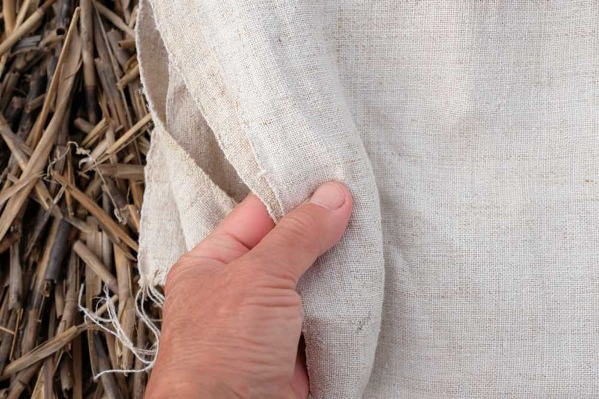 'Put us out of business!' Outrage as GOP shutdown provision threatens to end farms