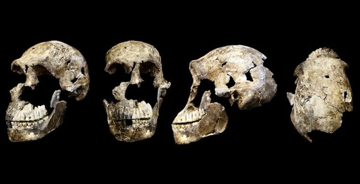 Major new research claims smaller-brained Homo naledi made rock art and buried the dead. But the evidence is lacking
