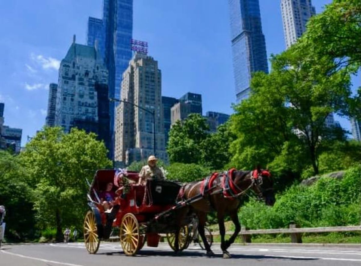 End of the road for New York's horsedrawn carriages? Raw Story