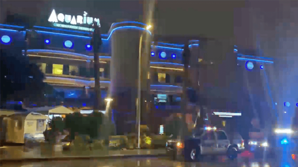 Murder-suicide at Houston's Downtown Aquarium: report