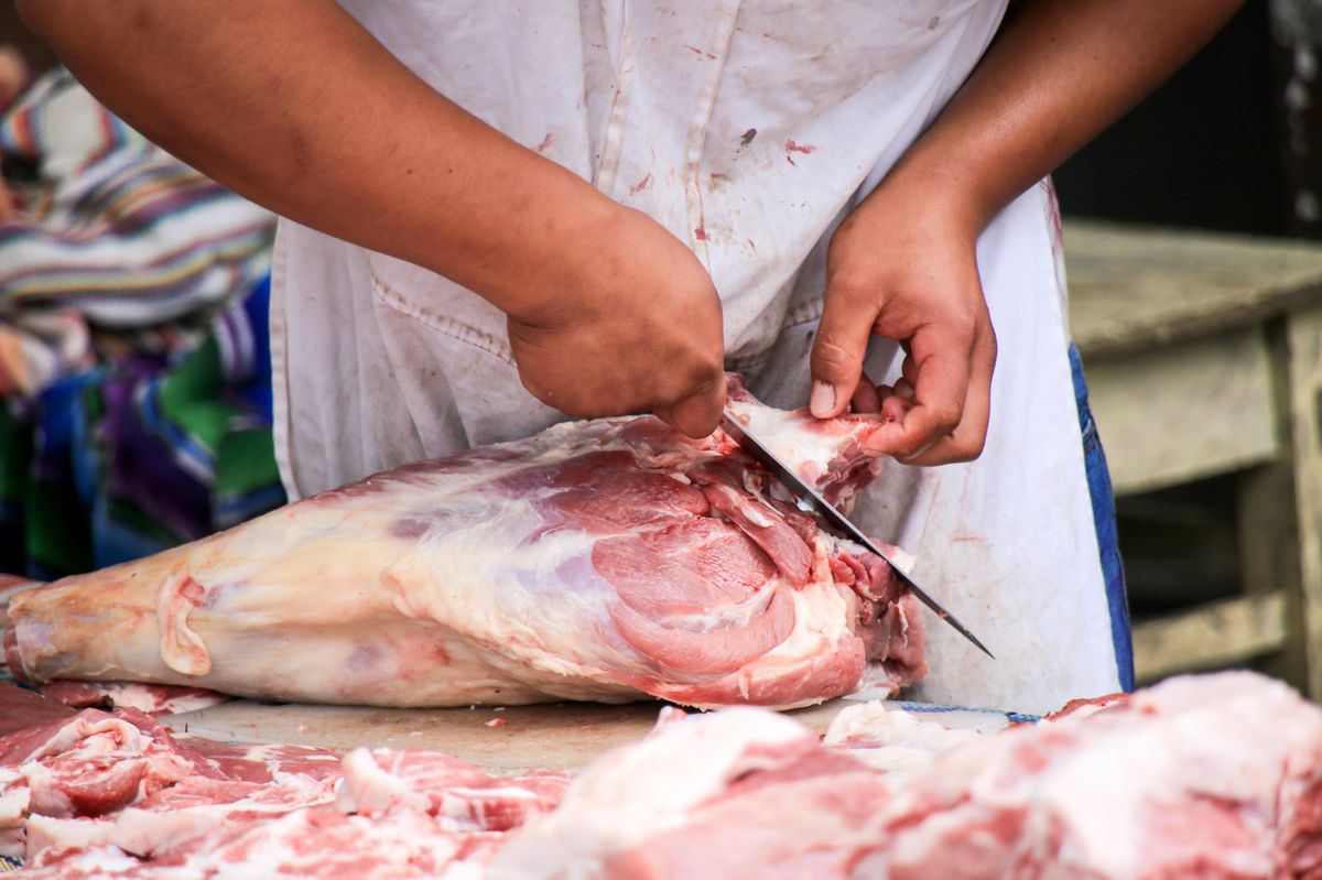 House panel exposes how 'shameful' meatpackers put profits over worker health during pandemic