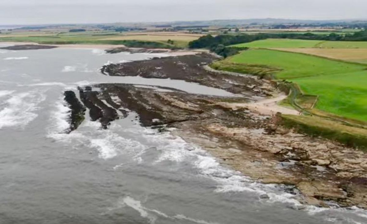 How we discovered a rare giant millipede fossil on a beach – and why it matters