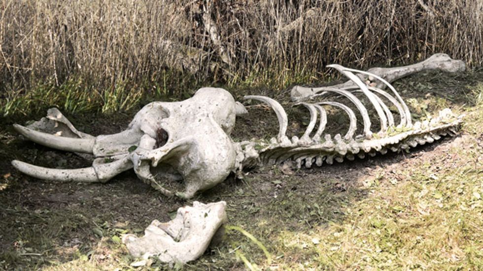 California GOP facing unprecedented candidate drought in statewide races