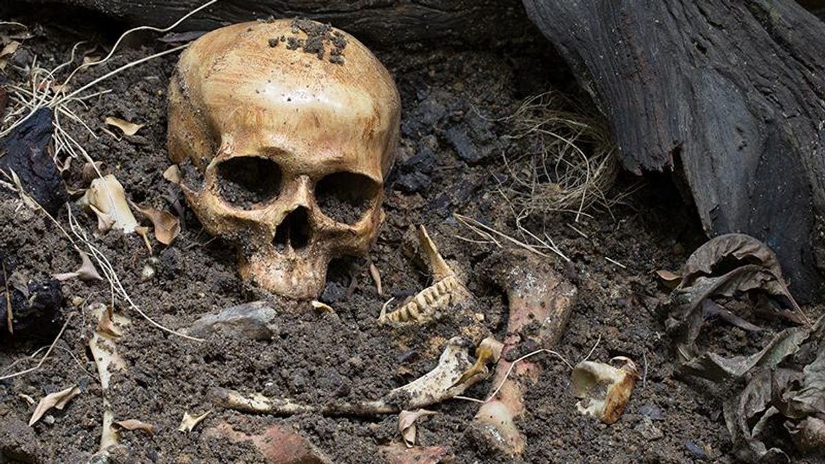 human remains bones
