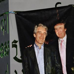 Explosive Epstein report sent 'desperate' Trumps 'running for their lives': analyst