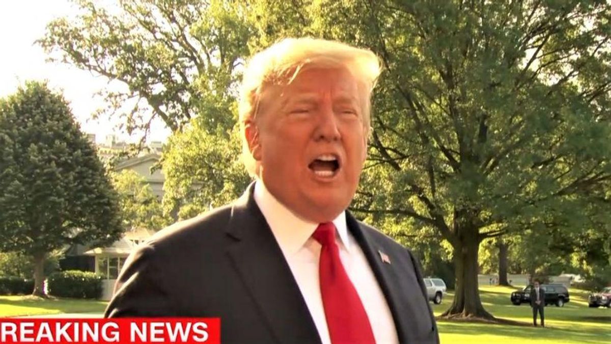 Trump 'exploded' at Birx for making him feel 'depressed' because she wouldn't whitewash COVID dangers: authors